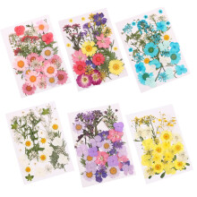 Dried Mixed Organic Flowers for DIY Craft Decoration