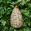 WOVTE Bird Nest Hand Woven Hanging 2 Pack 3