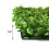 WSYW artificial grass wall screen 24x16 inch 10 pcs 8