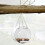 Window Bird Feeder with Suction Cup Round Clear 6