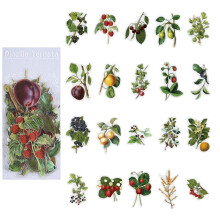 Memory Garden PET Scrapbook Stickers Vintage Floral 1 Set