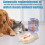 Automatic pet feeder and water dispenser 1 gallon 4