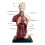 Human Torso Anatomy Model 11 inch with 8 removable organs 6