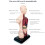 Human Torso Anatomy Model 11 inch with 8 removable organs 7