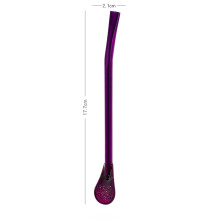 Stainless Steel Drinking Filter Straw Set of 2