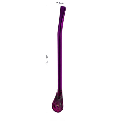 Stainless Steel Drinking Filter Straw Set of 2