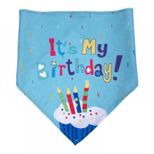 Dog Party Hat Pet Cap for Dogs and Cats 1 Piece