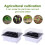 Wamans seedling tray with lid and ventilation 1 pack 6