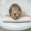 PU waterproof bathing pillow with suction cups white 6