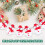 Christmas snowman string lights 10 LED 5.4 ft battery 5