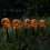 Halloween Pumpkin Solar Ground Lights 2 pcs 4