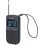 Mini Radio Camry CR 1905 1