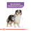 Royal Canin esterilizado médio 2