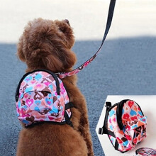Mybeauty small pet carrier backpack multicolor 15 lb