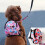 Mybeauty small pet carrier backpack multicolor 15 lb 1
