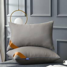 Queen-Size-Bettkissen-Set (2 Stück) – Luxuriös, flauschig, Daunenalternative