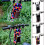 Bike Front Basket Waterproof Detachable 1 Pack 6