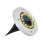Solar LED landscape light multicolor 5