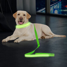 LED Hundebånd Grønn Vanntett Nylon 1,5m