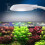 Aquarium-Licht LED USB-Clip 1 Stück 6