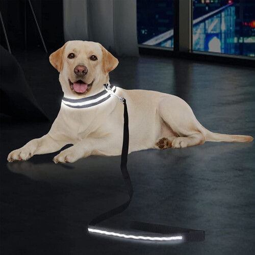 Λουρί σκύλου LED αδιάβροχο νάιλον με λάμψη, μαύρο λουρί ασφαλείας