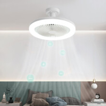 LWITHSZG E27 Deckenventilatorleuchte mit Einbauleuchte, 10 Zoll