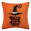 Halloween pillow cover cotton multicolor 1 piece 1