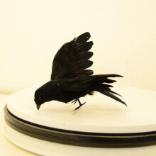 Halloween crow prop black feathered realistic handmade