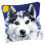 Wolf cushion carpet mat latch hook kit handmade 7