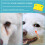Pet flea comb for dogs and cats 6 pieces 7