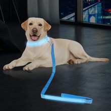 LED hundebånd blå vanntett nylon 1 stk