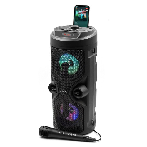 SQUEAK Harmony Bluetooth 5.0 Karaoke-högtalare