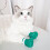 Kripyery cat claw covers with fastener tape 4 pcs 5