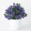 Artificial Bonsai Plant in Pot UV Resistant Greenery 2