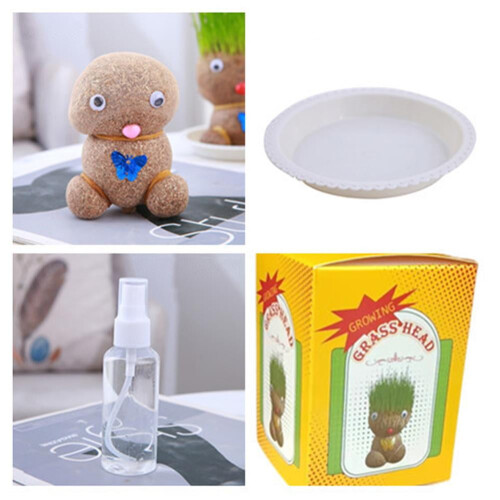 Pequena planta de grama em crescimento, boneca com cabeça de grama, presente para boneca com cabeça de grama.