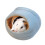 Laxiabr pet bed mat for small animals blue L 2