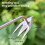 Washranp Stainless Steel Weeder V-Fork Handheld Pulling 6
