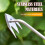 Washranp Stainless Steel Weeder V-Fork Handheld Pulling 5