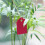 UDIYO plastic plant labels waterproof 300 pcs 6
