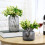 Artificial Blueberry Stems Home Decor 4Pcs 3