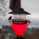 Heated Hummingbird Feeder Red 1 Unit 6
