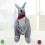 Kangaroo Plush Toy Mother and Child 1 pc 1