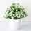 Artificial Bonsai Plant in Pot UV Resistant Greenery 2