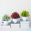 Artificial Bonsai Plant in Pot UV Resistant Greenery 3