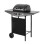 2-burners gas barbecue Teesa BBQ 2000 1