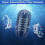 Ultrasonic Humidifier Replacement Cartridges 2-Pack 7
