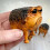 African Tree Frog Statue Home Decor Set 5pcs 4