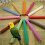 Parrot cage perch stand with rough wood surface 1