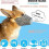 Adjustable Pet Respirator Muzzle Set of 3 2