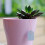 UDIYO waterproof plastic plant labels 300 pcs 7